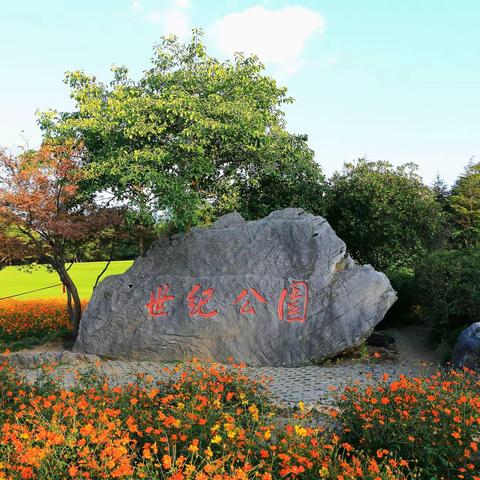 上海 世纪公园 秋景