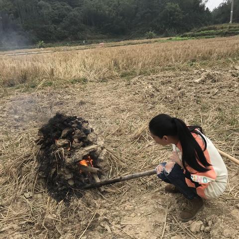 2019年二