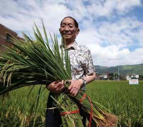 未见其面，却蒙其恩——致敬袁隆平爷爷