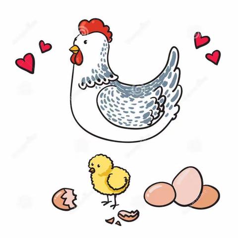 一日护蛋之旅“我来当爸爸，我来当妈妈”