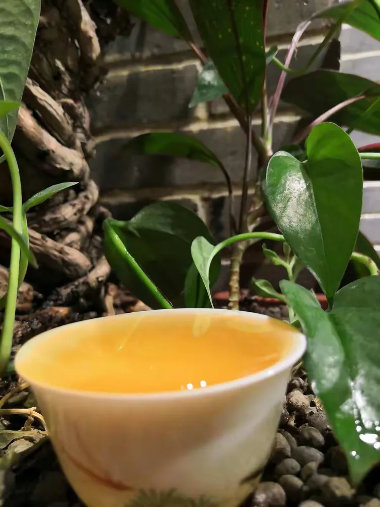 我遇到的每一个人都是我的贵人，年底了敬您一杯茶！