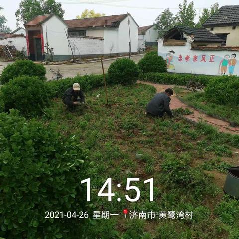 黄鹭湾村积极开展环卫一体化工作