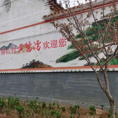 环境卫生大提升，让乡村风貌美起来