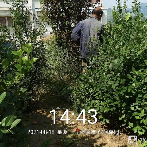 加大环境卫生整治，提升村庄卫生形象