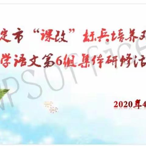 激活课改，促进发展——罗定市“课改”标兵培养对象小学语文第6组集体研修活动