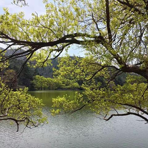 4月8日随州大洪山一日游