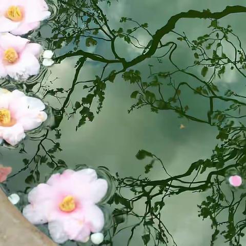 给学科画思维导图