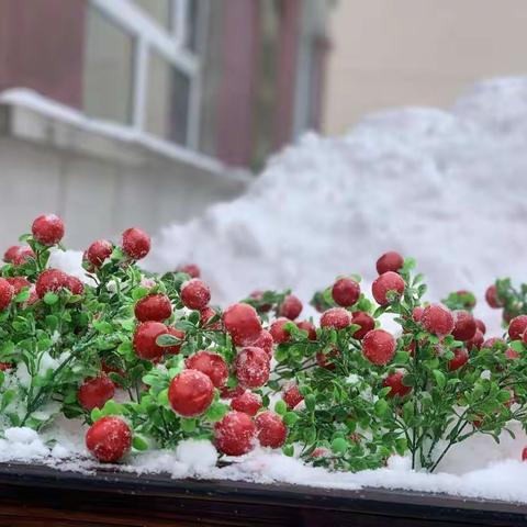 沐冬日暖阳，嗅研讨芬芳——长岭县第四小学短线学科教研活动