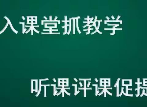 “公开课上展风彩，听课评课促成长”大郭镇胡桥学校“听评课”常态化教学教研活动纪实