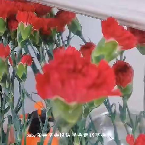 温暖的五月，我们迎来了亲情慢慢的母亲节，❤母爱是春天的甘露，洒落我们的心田。❤母爱是天空的云彩，渲染人性的。