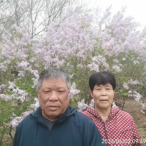23春周日西会观花