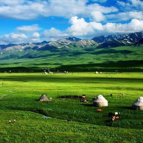 阿拉沟在我的心中流淌