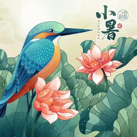 小暑节气