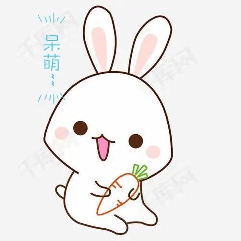 乐高《可爱的小兔子🐰》