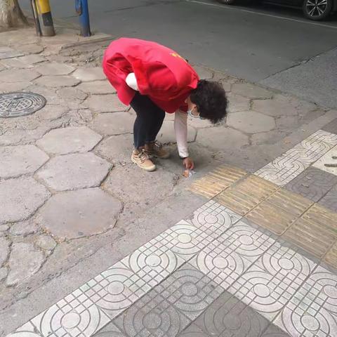 市林业局10月12日创文工作动态