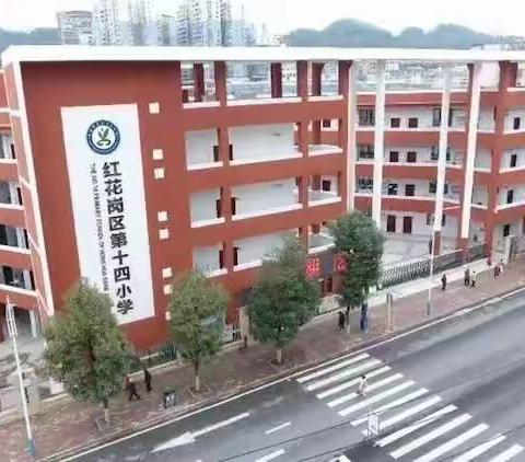 “双减背景下的‘提质增效’教学策略探讨”主题活动