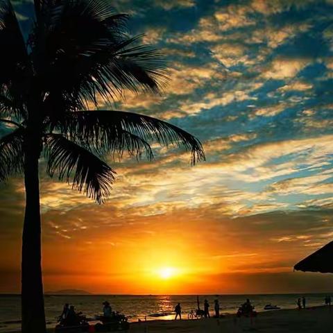 《一七令·春》