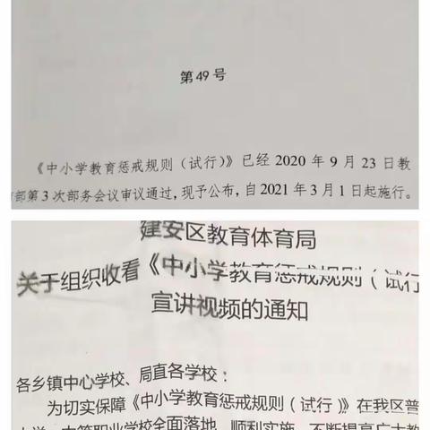 学惩戒规则，做育人行家——白兔寺小学开展学习《中小学教育惩戒规则(试行)》活动