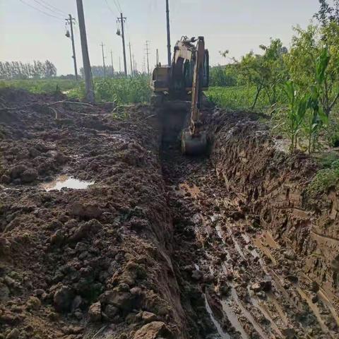 北董村开展防汛排水工作