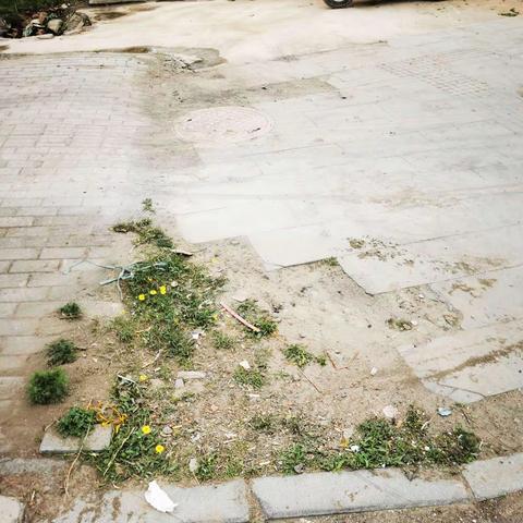 0421早香堤商业景观工程巡检