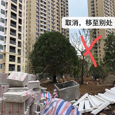 35亩景观软景提升意见
