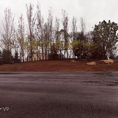 道路地形现状
