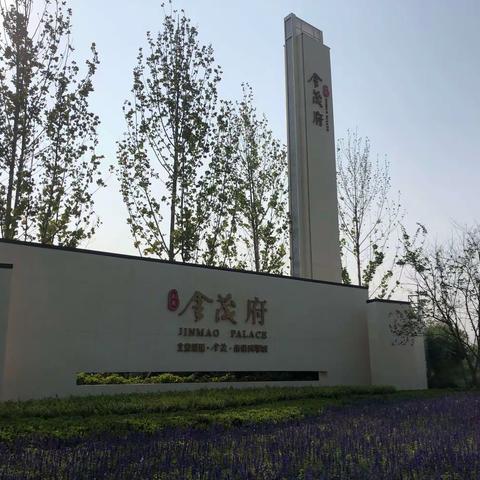 北京未来城金茂府项目考察分享