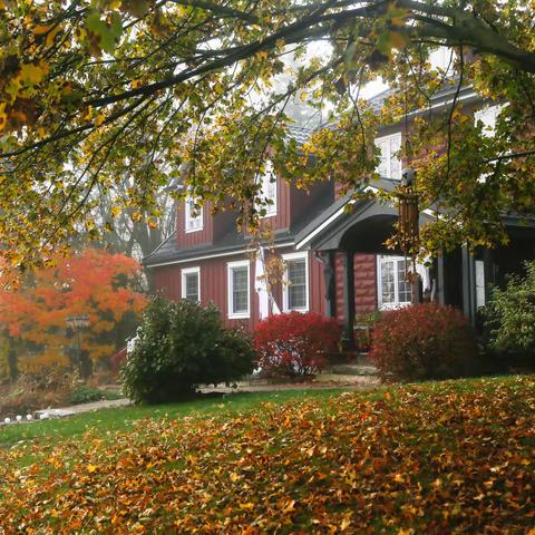 2020加拿大秋景Canada Autumn Scenery in 2020