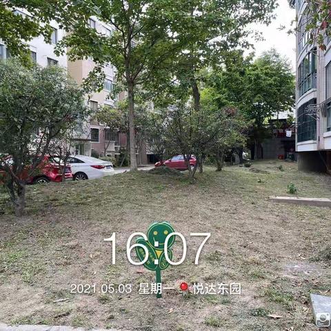 悦达东园5月份月报