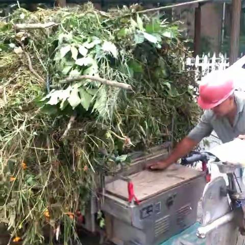 悦达东园9月份月报
