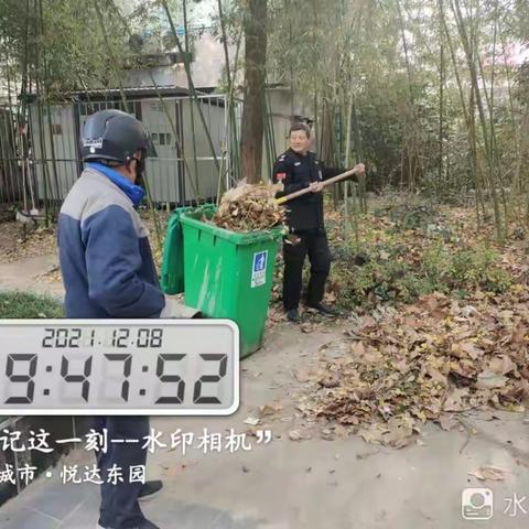 悦达东园12月份月报