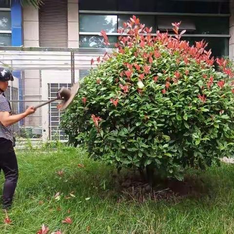 提升物业服务水平 美化小区环境见实效