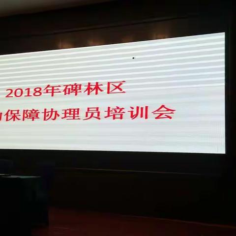 碑林区长乐坊街办劳动保障协理员业务培训