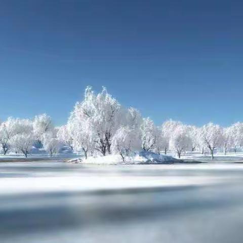 你喜欢雪吗？