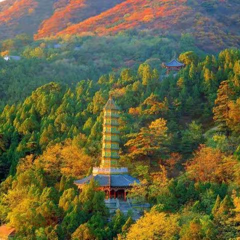 探路者漫山俱乐部10-24《香山公园》一日休闲游