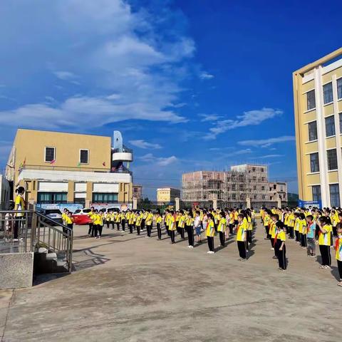 港口区沙港新区小学2022年秋季学期顶岗教师招聘公告