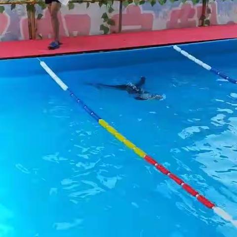 水精灵第一批部分学员毕业汇报视频！