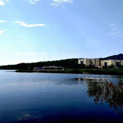 农家乐一角……