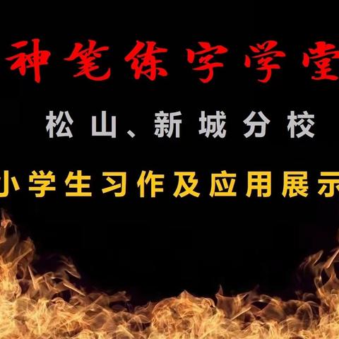 松山新城神笔练字学员习作及应用