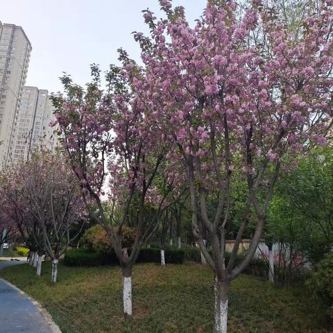 珍惜最后的灿烂