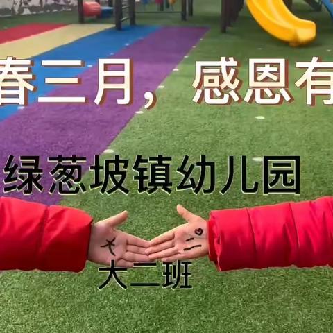 🌸特别的爱❤️给亲爱的“她”👑绿幼大二班👯三·八女神节主题系列活动🤗