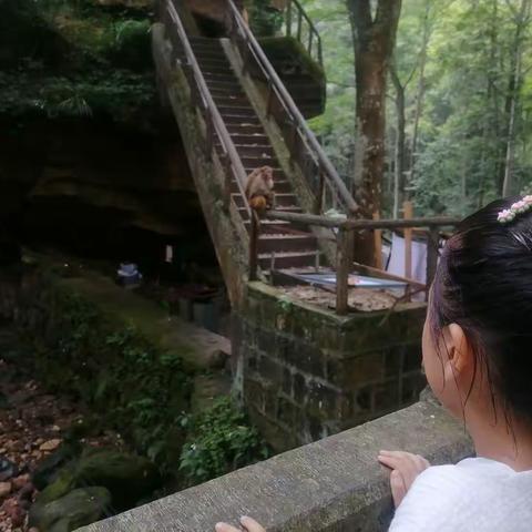 暑假的历程