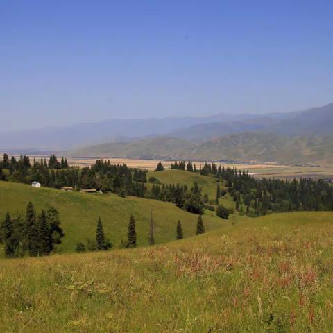 带着小妞游伊犁