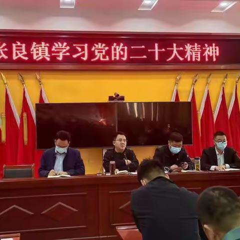 张良镇认真学习贯彻党的二十大会议精神！