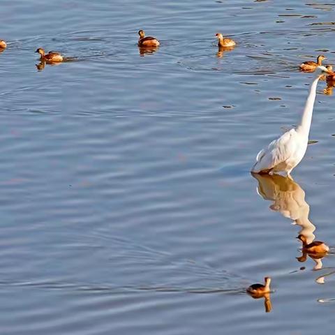 郭刚摄影作品欣赏