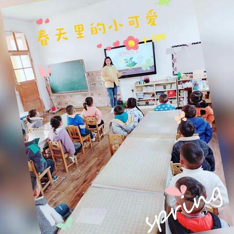 【新教育.研发卓越课程】岚山镇第三幼儿园大一班科学《种子发芽了》