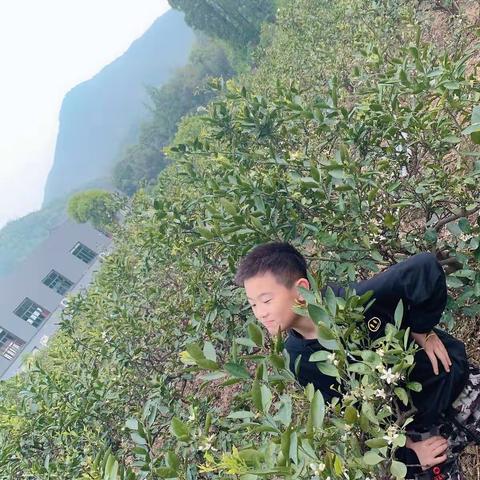游乡间一一张艺腾