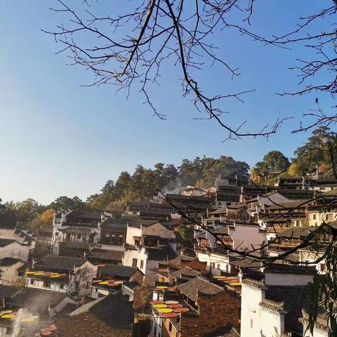 第十届全国小学英语名师教学观摩活动