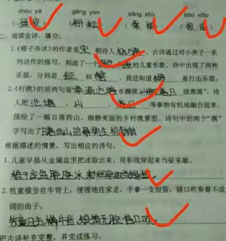 韩陵镇目村小学五年级的美篇