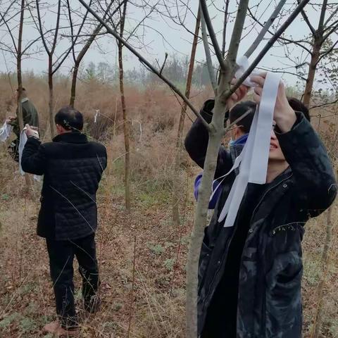 清明时节雨纷纷，故东王家祭祖坟。